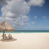 Отель Manchebo Beach Resort and Spa, фото 17