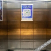 Отель City Comfort Inn, фото 3