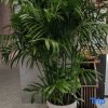 Отель Yishang Hotel (Kuqa Jiankang Road Branch), фото 8