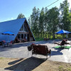 Отель Talkeetna Inn, фото 14