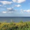 Отель 2bed-beachfront Sea-view-norfolk Home-pet Friendly, фото 8