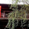 Отель Yin Yi Homestay, фото 2
