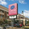 Отель Comfort Suites Oakbrook Terrace near Oakbrook Center в Оукбрук-Террасе