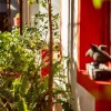 Отель Malagueta Inn в Мапуту
