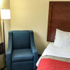 Отель Comfort Inn And Suites, фото 23