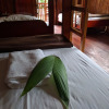 Отель Green forest Ecolodge, фото 47