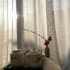 Отель Westlake Phoenixtree Homestay, фото 24