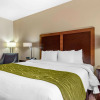Отель Comfort Inn & Suites Eagle Pass, фото 5