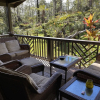 Отель Volcano Rainforest Lodge, фото 15