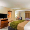 Отель Econo Lodge Inn & Suites, фото 4