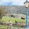 Отель Lathkill Barn, фото 8