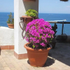 Отель Villa Antica, фото 13