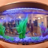 Отель Royal Reach Family Resort, фото 9