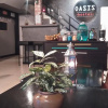 Отель Oasis Hostel, фото 8