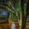 Отель Cloud Forest Lodge, фото 12