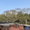 Отель Baotuo Hotel, фото 8