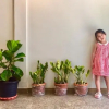 Отель My Home N1, фото 1