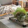 Отель The Watson Boutique Bed & Breakfast, фото 15