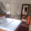Отель Ngorongoro Lodge & Campsite, фото 12