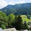 Отель Appartement Le Grand-Bornand, 3 pièces, 6 personnes - FR-1-241-47, фото 8