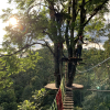 Отель Glamping Refugio del Bosque, фото 12