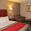 Отель Comfort Inn & Suites, фото 27