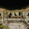 Отель Bonobo Lodge, фото 6
