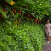 Отель Angkor Green Gardens by Dara Park & Private Pool Villa, фото 16