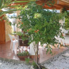 Отель Elibungalow, фото 5