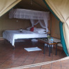 Отель Zebra Kemang'ore Bush Tented Lodge, фото 4
