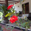 Отель Danara Homestay, фото 12