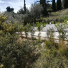 Отель Stone House in Olive Grove, фото 10