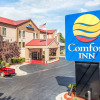 Отель Comfort Inn & Suites at Stone Mountain, фото 10