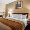 Отель Comfort Inn & Suites Branson Meadows, фото 3