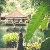 Отель Villa for Rent in Bali 2078, фото 18