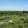 Отель Leopard Sands, Kruger Park, фото 19