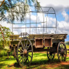 Отель Crater Lake Tented Camp & Game Sanctuary, фото 11