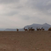 Отель Hawarim Desert View, фото 10