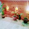 Отель Terracotta And Rooftop Restaurant, фото 2