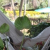 Отель Cabanas El Descanso Iguazu, фото 15