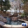 Отель Updated 2BR in the Heart of Aspen - Steps to Gondola with Pool & Hot Tub, фото 11