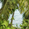 Отель Tropical Hideaway, фото 21