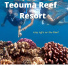 Отель Teouma Reef Resort, фото 1