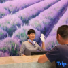 Отель Lavande Hotels Chibi Highspeed Railway Station, фото 15