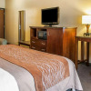 Отель Comfort Inn & Suites Midtown, фото 5