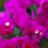Отель Yedamakky Cottage, фото 31