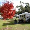 Отель Beechworth Lake Sambell Caravan Park, фото 4