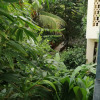 Отель Sai Nilayam studio flat, фото 9
