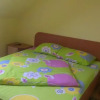 Отель Pensiunea Iris, фото 2