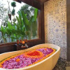 Отель Anandari Ubud Villa, фото 6